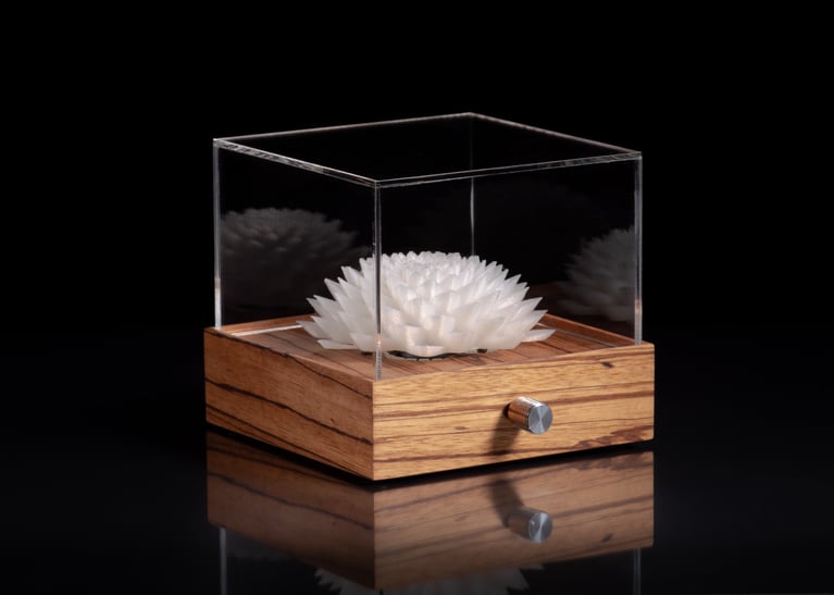 Novatropes Kickstarter Campaign